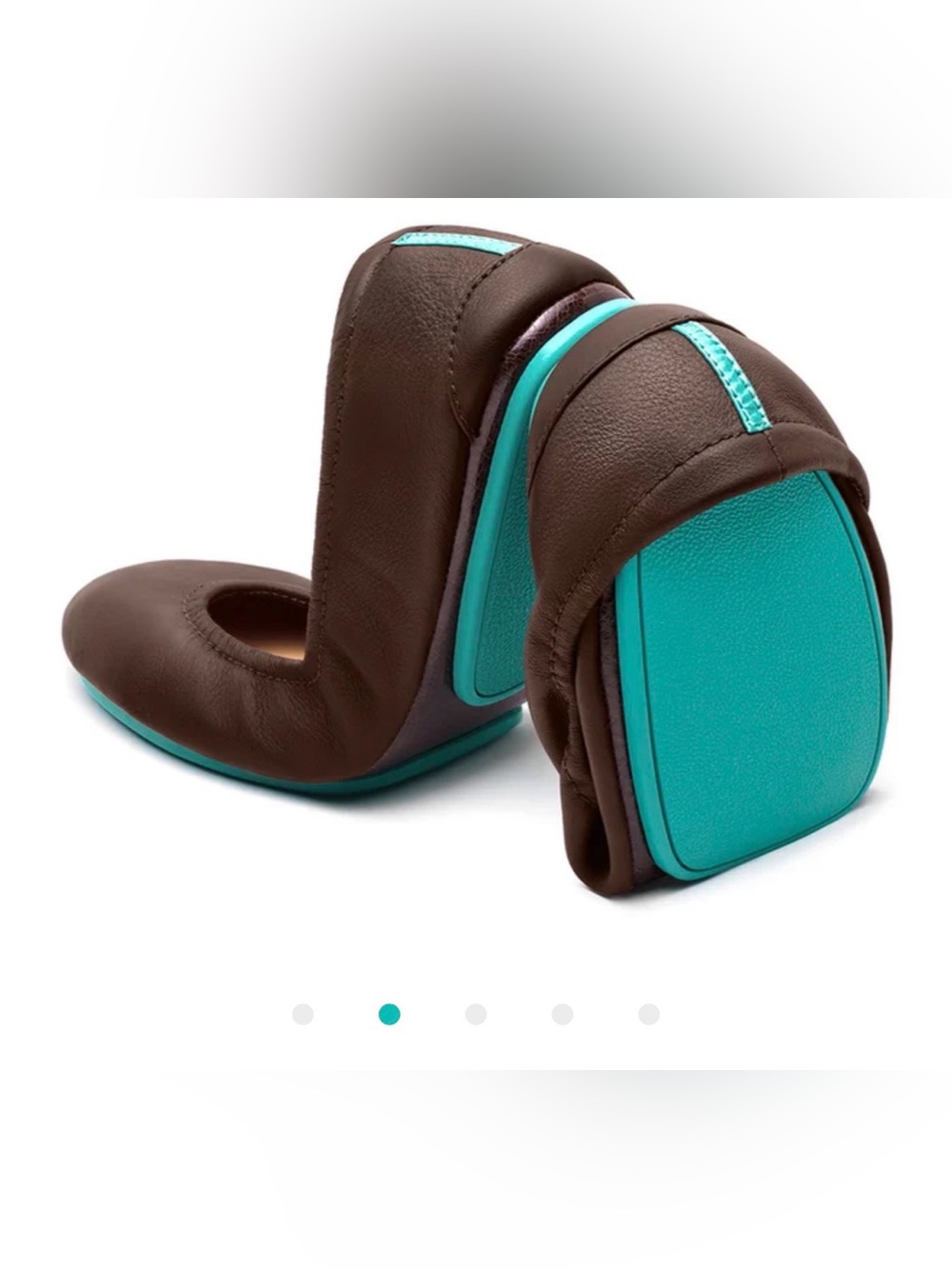Tieks foldable shoes